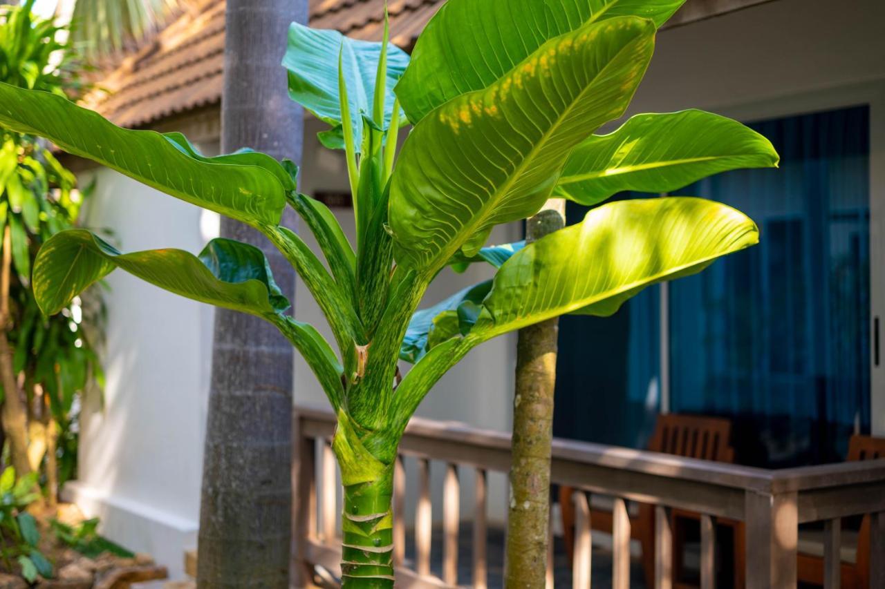 Samui Natien Resort Chaweng Plajı Dış mekan fotoğraf